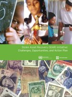 Stolen Asset Recovery (StAR) Initiative: Challenges, Opportunities, and Action Plan pot