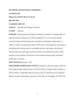 Securities and Exchange Commission: Consolidated Audit Trail pptx