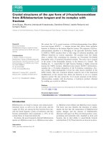 Báo cáo khoa học: Crystal structures of the apo form of b-fructofuranosidase from Biﬁdobacterium longum and its complex with fructose pot