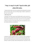 Vàng và rụng lá cà phê: Nguyên nhân, giải pháp khắc phục docx