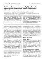 Báo cáo khoa học: The N-terminal cysteine pair of yeast sulfhydryl oxidase Erv1p is essential for in vivo activity and interacts with the primary redox centre doc