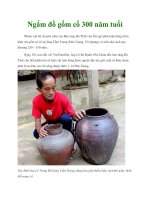 Ngắm đồ gốm cổ 300 năm tuổi ppt