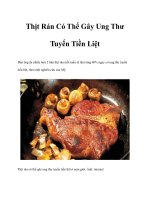 Thịt Rán Có Thể Gây Ung Thư Tuyến Tiền Liệt doc