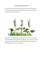 CFO và phong cách làm việc mới pptx