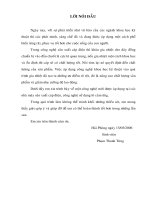 thiết kế bộ điều chỉnh tần số và điện áp làm nguồn nhiệt