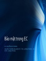 bảo mật trong ec - nguyễn huy hoàng