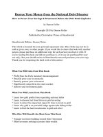 Rescue Your Money from the National Debt Disaster pot