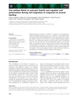 Báo cáo khoa học: Cas utilizes Nck2 to activate Cdc42 and regulate cell polarization during cell migration in response to wound healing docx