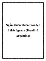 Ngắm thiên nhiên tươi đẹp ở thác Iguazu (Brazil và Argentina) docx