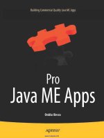 Pro Java ME Apps pot