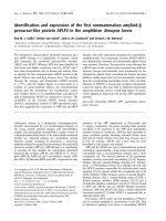 Báo cáo khoa học: Identiﬁcation and expression of the ﬁrst nonmammalian amyloid-b precursor-like protein APLP2 in the amphibian Xenopus laevis ppt