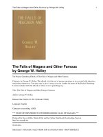 The Falls of Niagara and Other Famous Cataracts doc