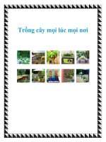 Trồng cây mọi lúc mọi nơi potx