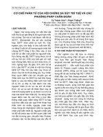 Cơ chế phân tử của hội chứng sa sút trí tuệ và các phương pháp chẩn đoán pot