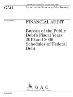 Bureau of the Public Debt’s Fiscal Years 2010 and 2009 Schedules of Federal Debt pot