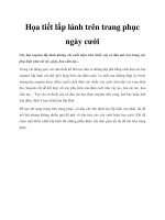 Họa tiết lấp lánh trên trang phục ngày cưới docx