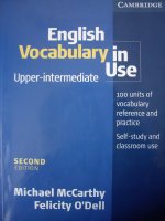 cambridge - english vocabulary in use (upper-intermedate) (2nd ed)