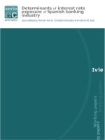 Determinants of interest rate exposure of Spanish banking industry potx