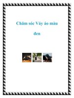 Chăm sóc Váy áo màu đen docx