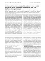 Báo cáo khoa học: Structures and mode of membrane interaction of a short a helical lytic peptide and its diastereomer determined by NMR, FTIR, and ﬂuorescence spectroscopy pdf