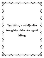 Tục bắt vợ - nét độc đáo trong hôn nhân của người Mông pdf