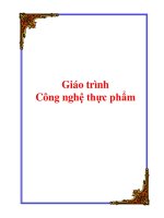 Giáo trình :Công nghệ thực phẩm potx
