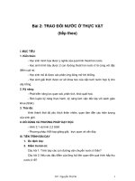Bài 2: TRAO ĐỔI NƯỚC Ở THỰC VẬT (tiếp theo) pptx