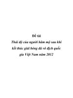 Đề tài Thái độ của người hâm mộ sau khi kết thúc giải bóng đá vô địch quốc gia Việt Nam năm 2012 doc