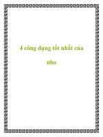 4 công dụng tốt nhất của nho pdf