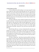 phát triển hoạt động tư vấn cổ phần hoá của công ty chứng khoán ngân hàng công thương việt nam