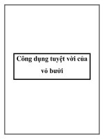 Công dụng tuyệt vời của vỏ bưởi doc
