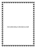 Giá trị dinh dưỡng và chữa bệnh của chuối potx