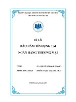 đảm bảo tín dụng tại ngân hàng thương mại