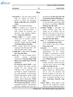 dictionary w,x,y,z (FILEminimizer)