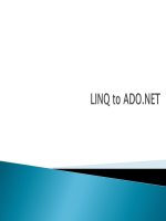 LinQ to ADO.NET pot