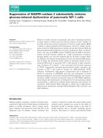 Báo cáo khoa học: Suppression of NADPH oxidase 2 substantially restores glucose-induced dysfunction of pancreatic NIT-1 cells doc