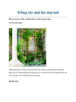 Trồng cây mọi lúc mọi nơi pot