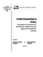 Credit Counseling in Crisis: The Impact on Consumers of Funding Cuts, Higher Fees and Aggressive New Market Entrants doc