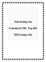 Ảnh hưởng của Canonical URL Tag đến SEO trang web pot