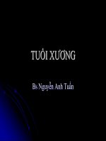 Tuổi xương ppt