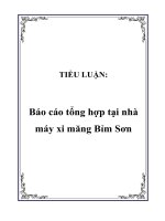 TIỂU LUẬN: Báo cáo tổng hợp tại nhà máy xi măng Bỉm Sơn doc