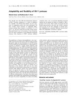 Báo cáo khoa học: Adaptability and ﬂexibility of HIV-1 protease potx