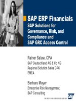 Sap Solutions For Governance Risk And Compliance And Grc Access Control 3 doc