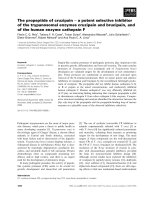 Báo cáo khoa học: The propeptide of cruzipain ) a potent selective inhibitor of the trypanosomal enzymes cruzipain and brucipain, and of the human enzyme cathepsin F ppt