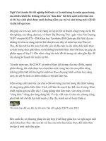 để ôn thi văn hiệu quả hơn