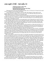 cảm nghĩ về Bố – bài mẫu 14