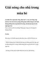 Giải nóng cho nhà trong mùa hè pot