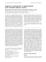 Báo cáo Y học: Suppression of apolipoprotein C-II amyloid formation by the extracellular chaperone, clusterin potx