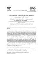Environmental assessment of waste matrices contaminated with arsenic