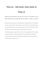 Món ăn – Bài thuốc chữa bệnh từ bóng cá pptx